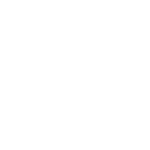 1 ebook